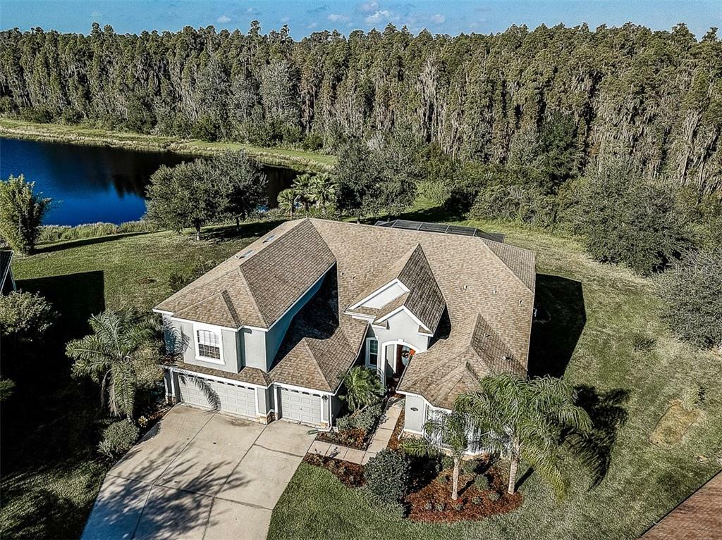 Property Photo:  19320 Yellow Clover Drive  FL 33647 