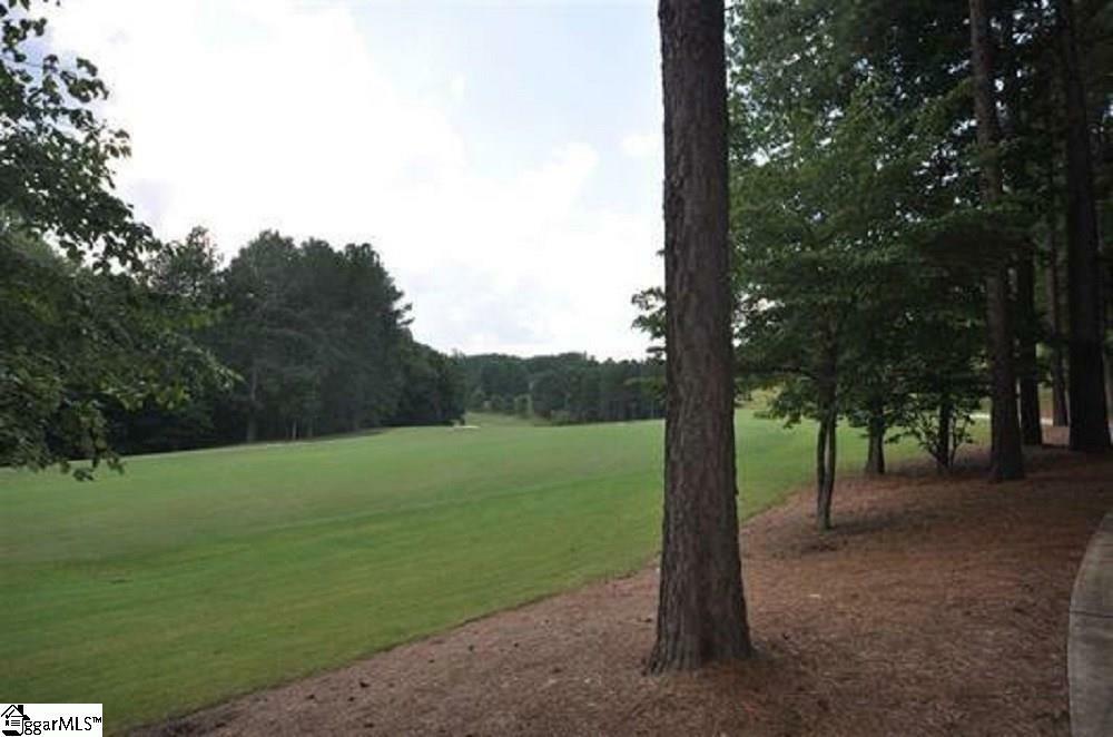 Property Photo:  116 Baltusrol Court  SC 29685 