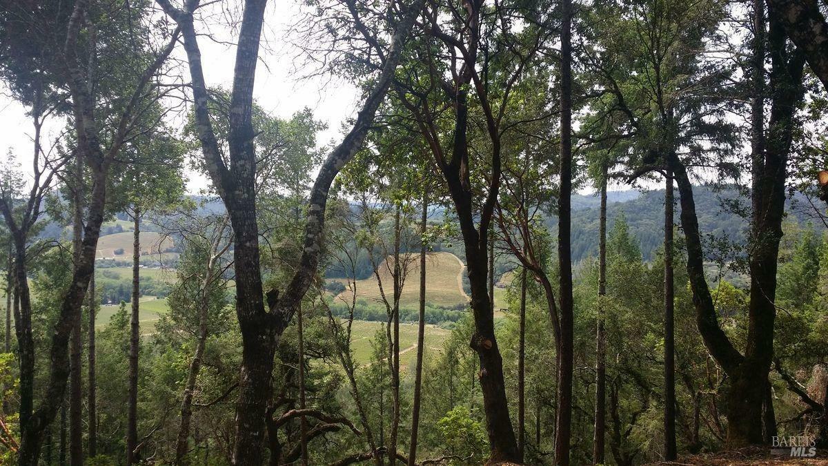 Property Photo: 9860 Dry Creek Road CA 95448