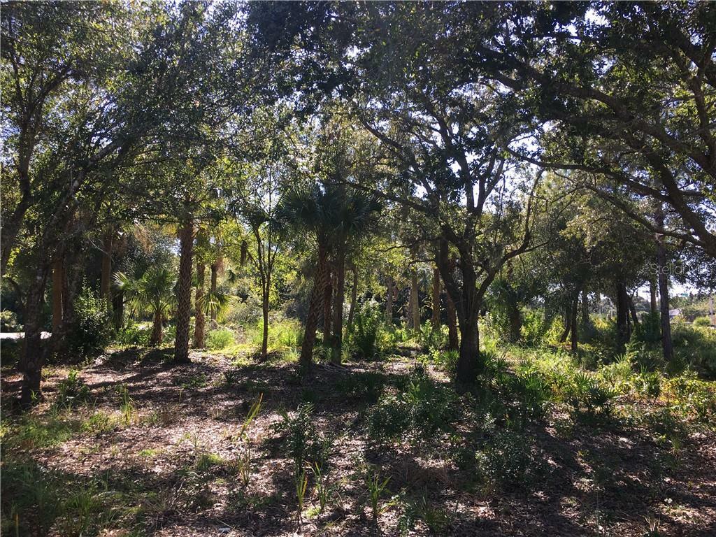 Property Photo:  3459 Swanee Road  FL 33980 