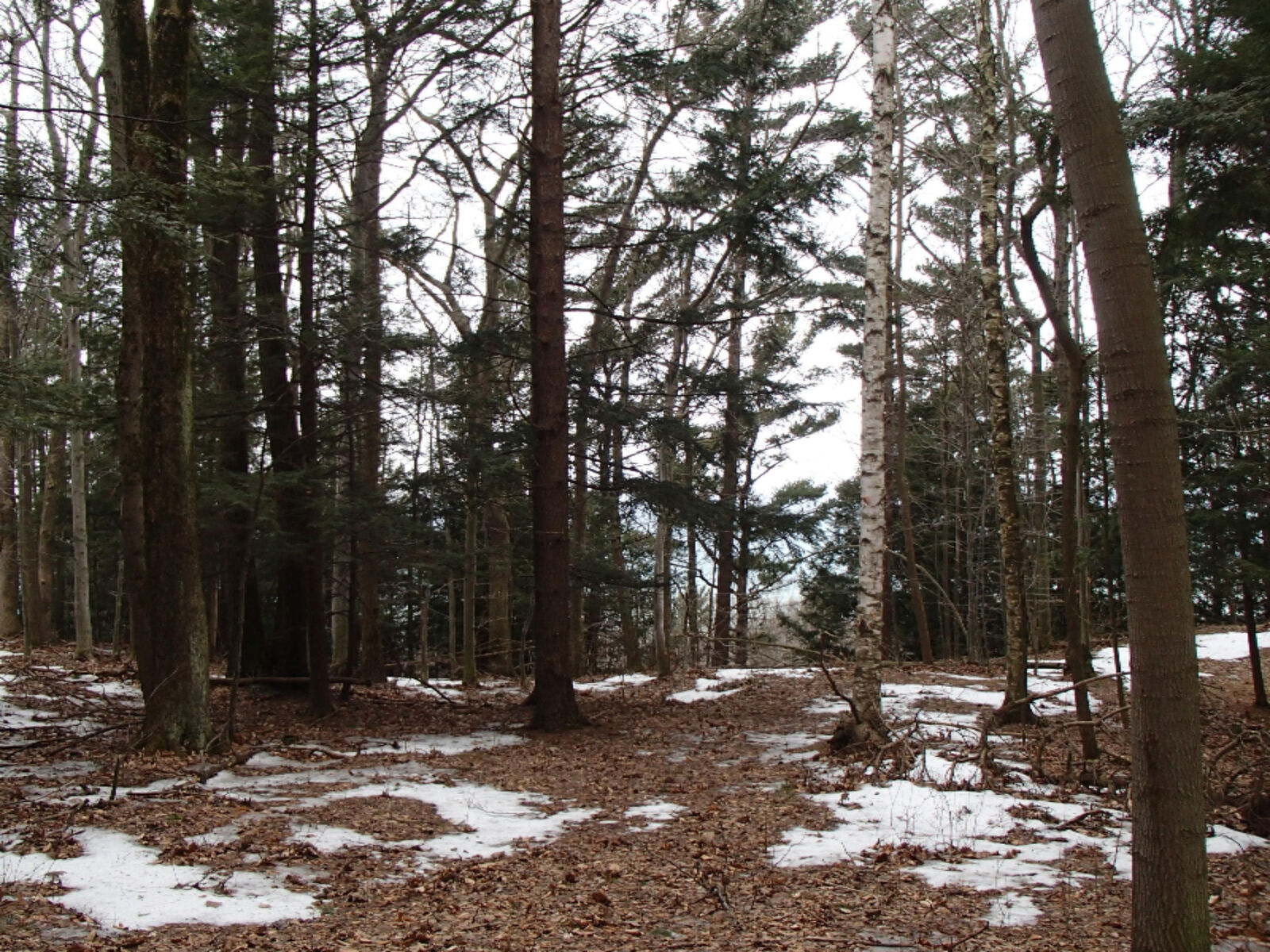 Property Photo:  Lot 13 Sable Point Drive  MI 49455 