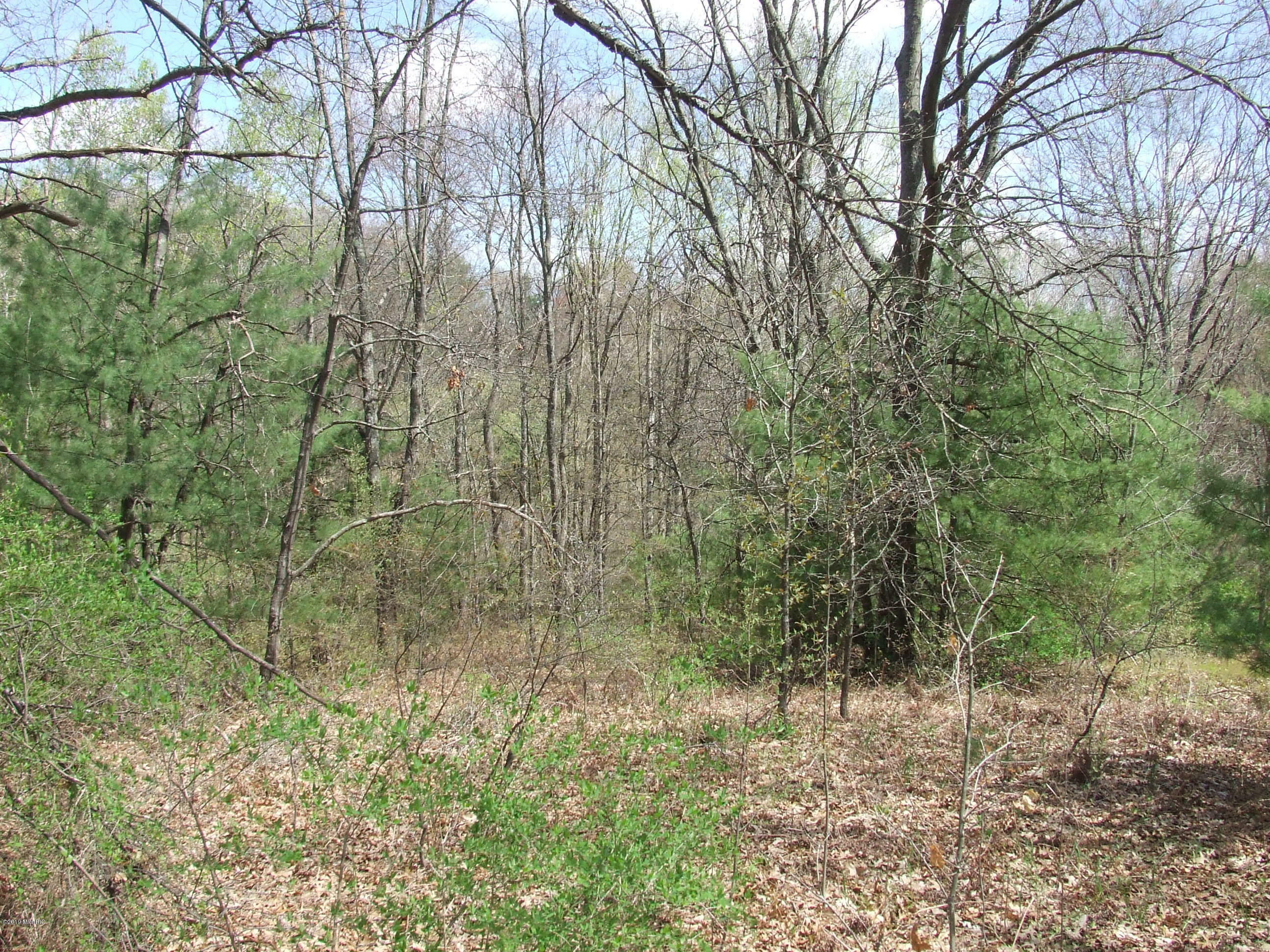 Property Photo: 0 Ewing Road MI 49457