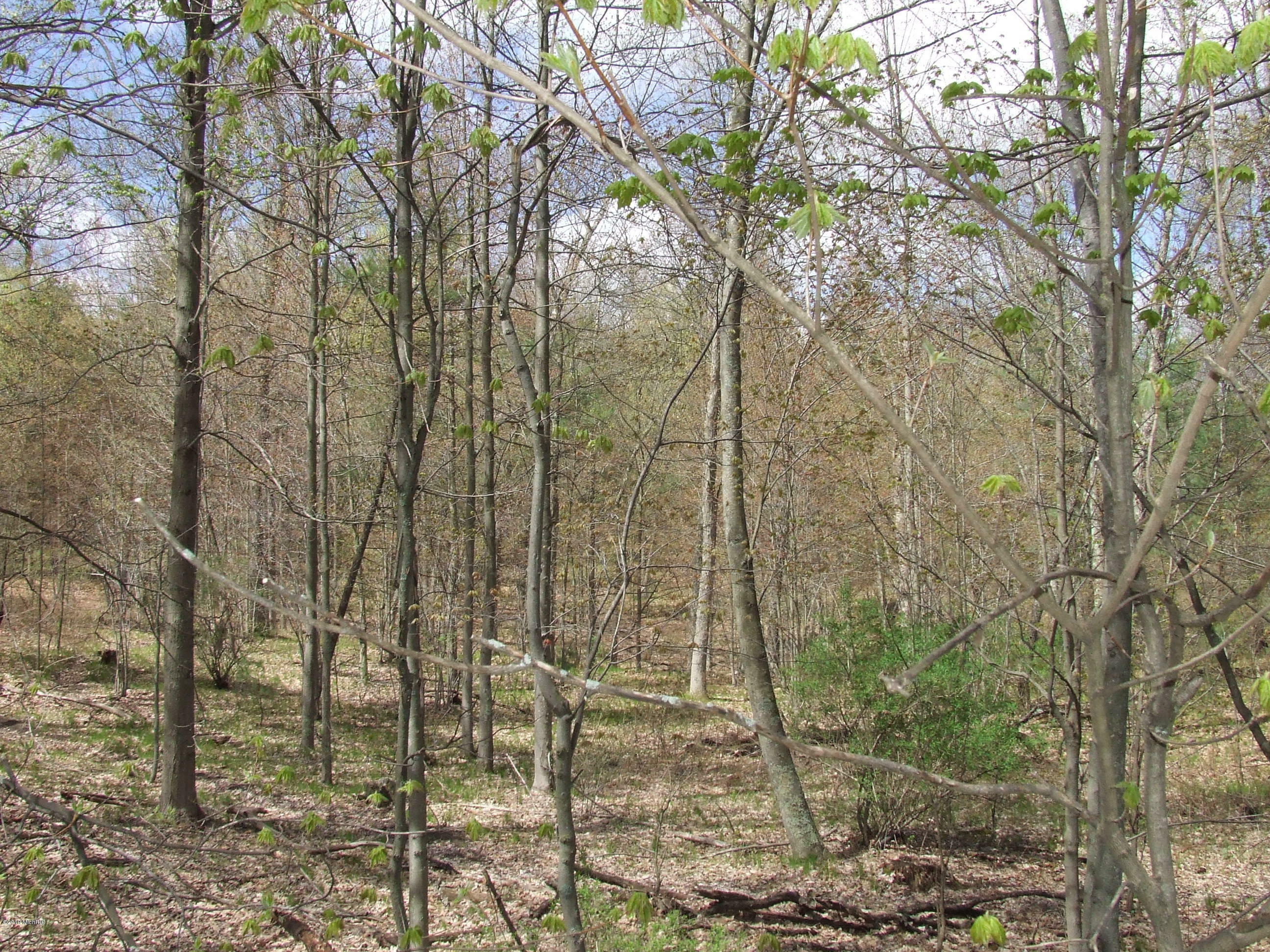Property Photo: 0 Ewing Road MI 49457