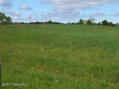 Property Photo:  Michael Street  MI 49420 