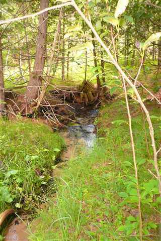 Property Photo: Tbd Pleasant MI 49712