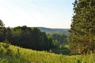 Property Photo: Tbd Rogers MI 49727
