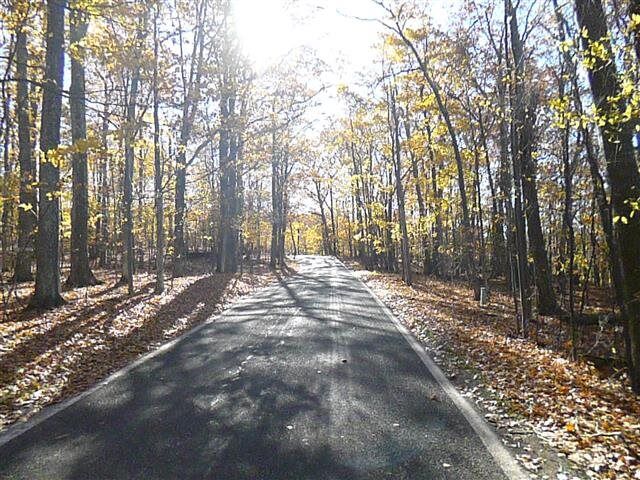 Property Photo: 369 S Lake Shore Drive MI 49740