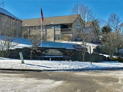 Property Photo:  4054 Saint Andrews Court 3  OH 44406 
