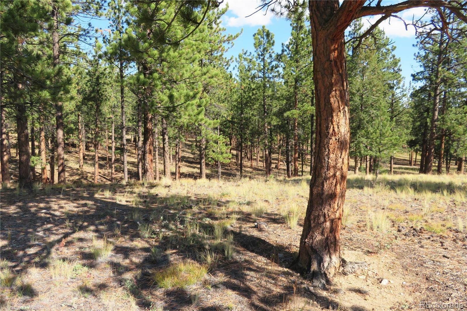 Property Photo:  16409 Pine Grove Parkway  CO 81211 