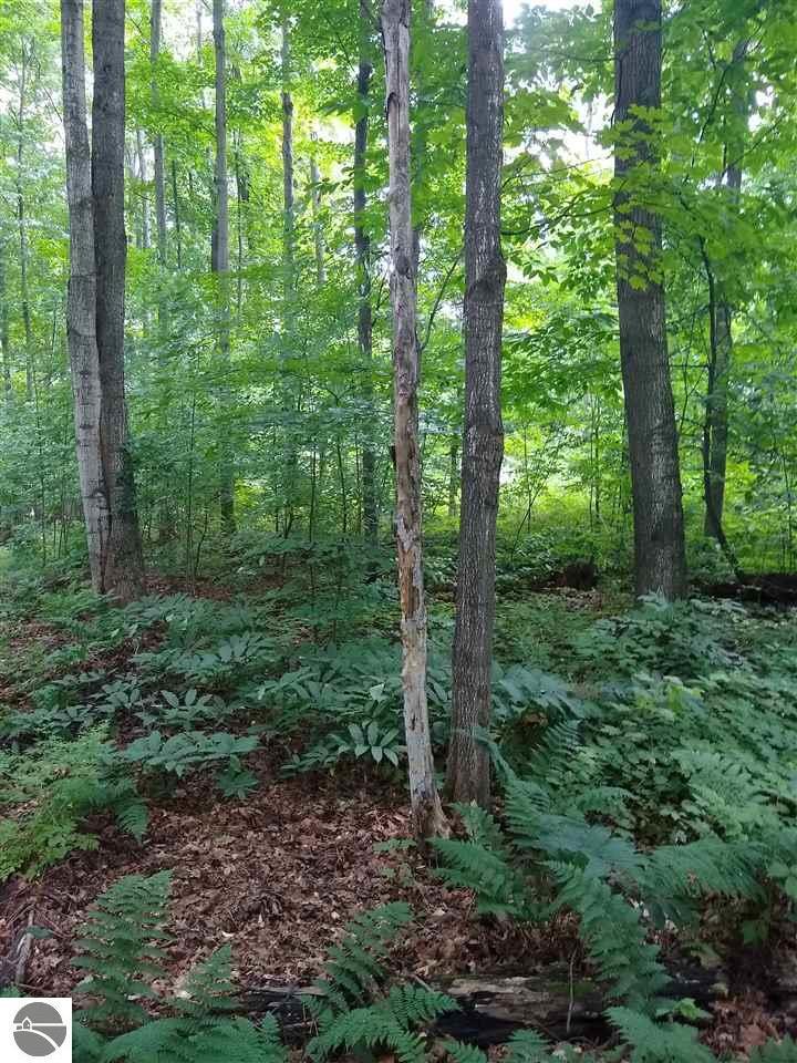 Property Photo: Lot 54 Yellowstone MI 49601