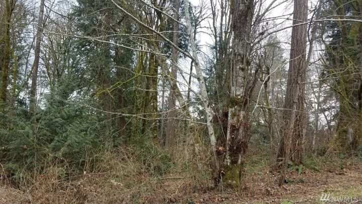 Property Photo:  590 E Wood Lane  WA 98584 