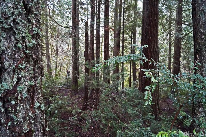 Property Photo: 13 SE Arcadia Shores Rd WA 98484