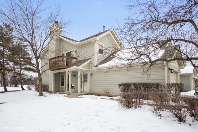 Property Photo:  169 West Hamilton Drive 11  IL 60067 