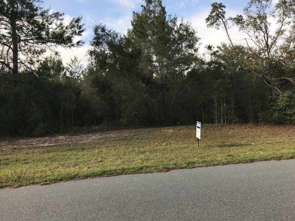 Property Photo:  0 SW 161st Loop  FL 34473 