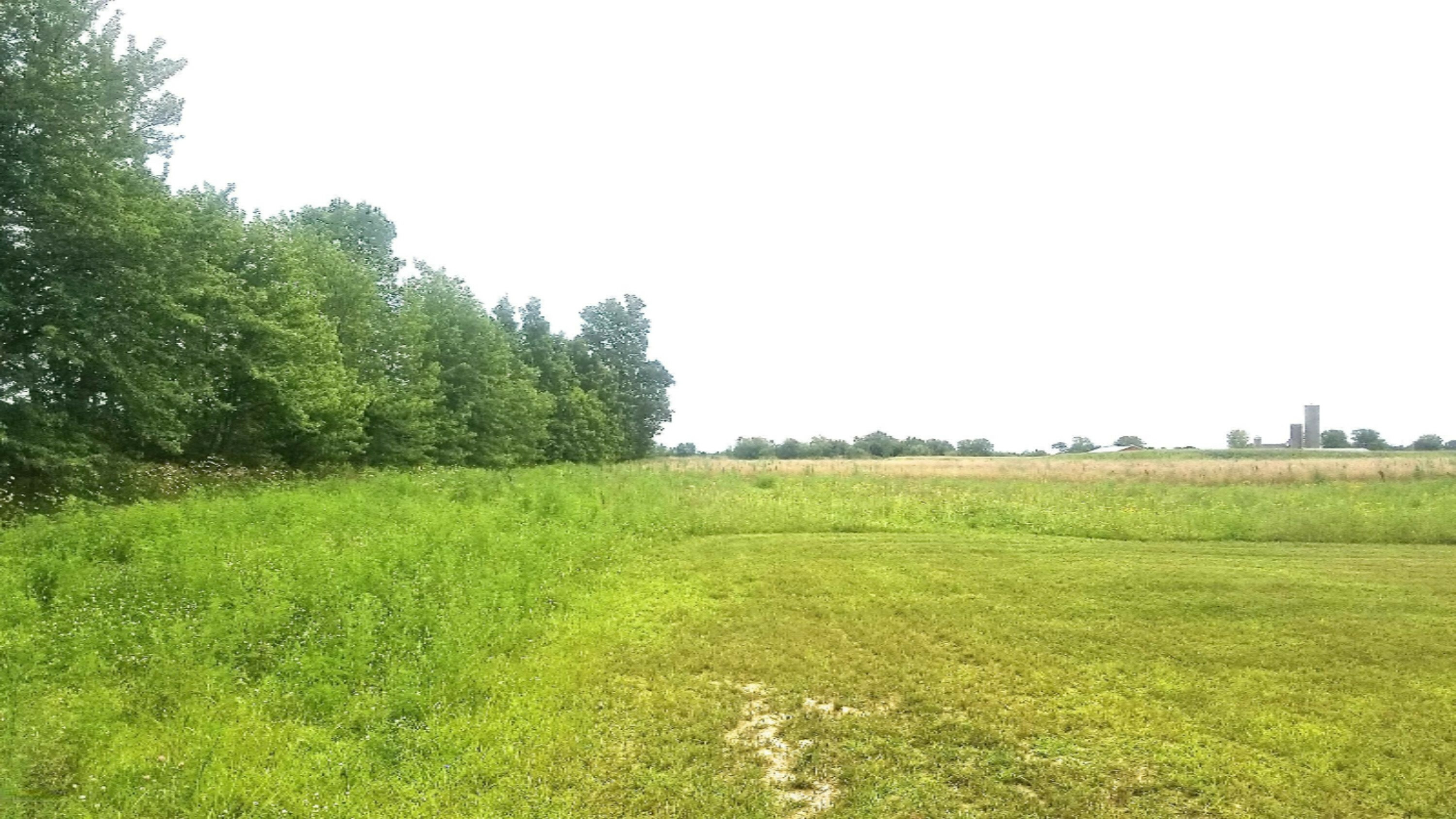 Property Photo: Parcel D Byron Road MI 49464