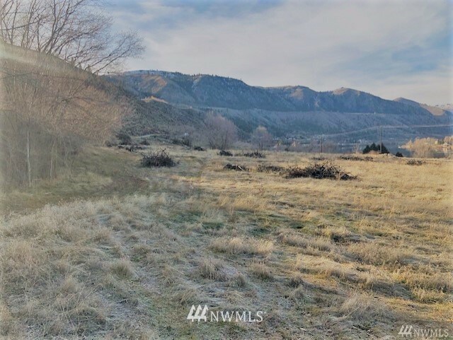 Property Photo: 0 Riverview Road WA 98843
