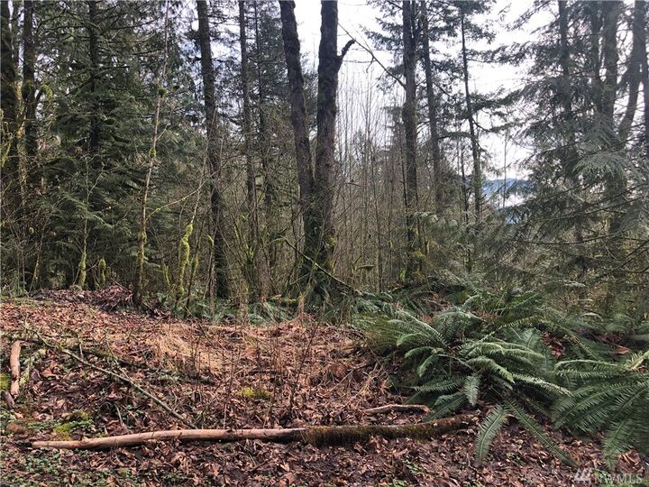 Property Photo:  Xxx Mt. Baker Hwy  WA 98244 