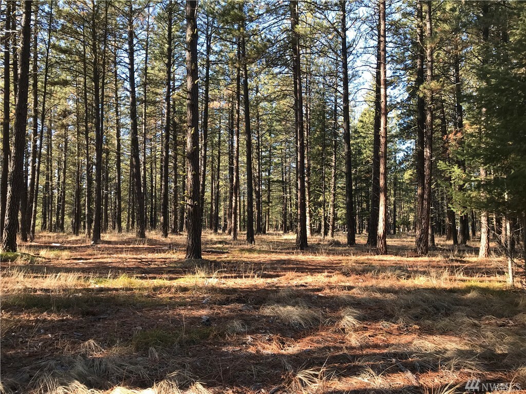 Property Photo:  Lot 2 Pine Duff Dr  WA 98922 