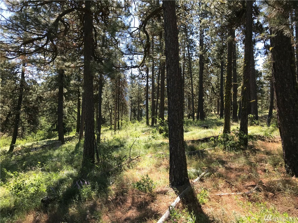 Property Photo:  Lot 5 Mountain Creek Dr  WA 98922 