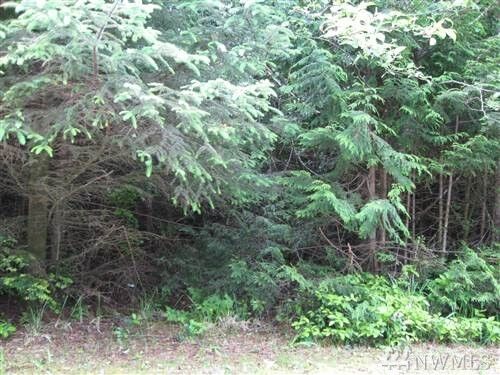 Property Photo:  4540 State Route 109  WA 98571 