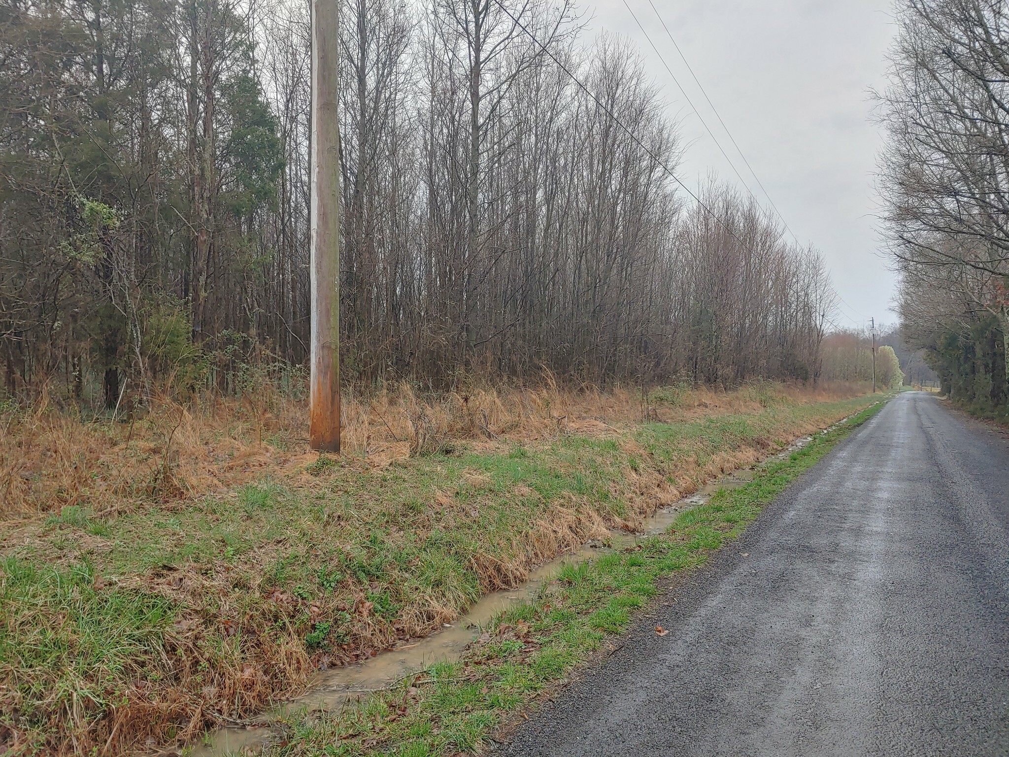 Property Photo:  0 Dick Farmer Rd  TN 37032 