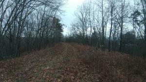 Property Photo:  Lake Overlook Drive  TN 37854 