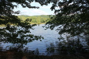 Property Photo:  Emory Cove Dr. Lot 25  TN 37748 