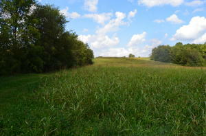 Property Photo: Clover Hill Rd TN 37801