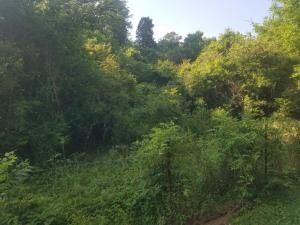 Property Photo:  Lot 9 Hall Rd  TN 37774 