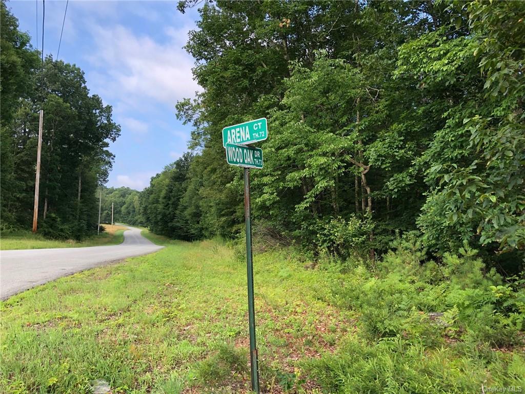Wood Oak Dr. Lot 25  Narrowsburg NY 12764 photo