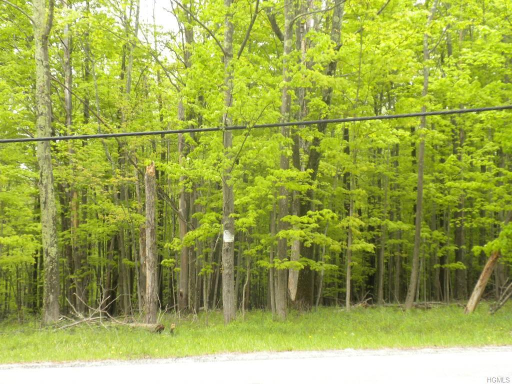 Bank/Dairyland Rd Road  Woodridge NY 12733 photo