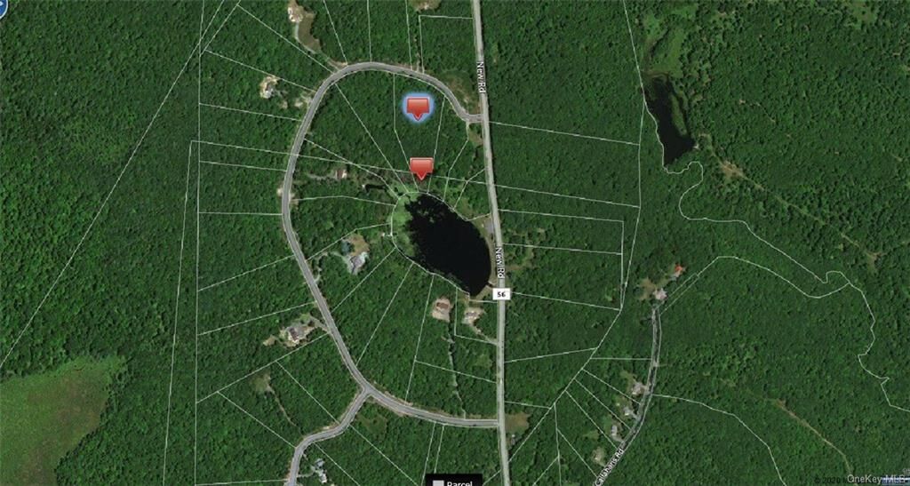 Property Photo:  Pine Lake Drive  NY 12790 
