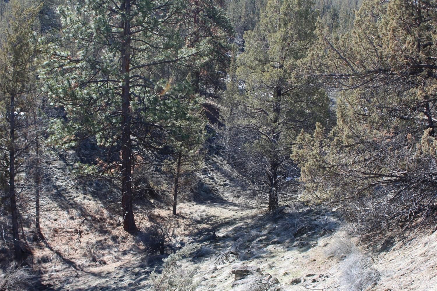 Property Photo:  11750 SW Dynomite Lane  OR 97734 