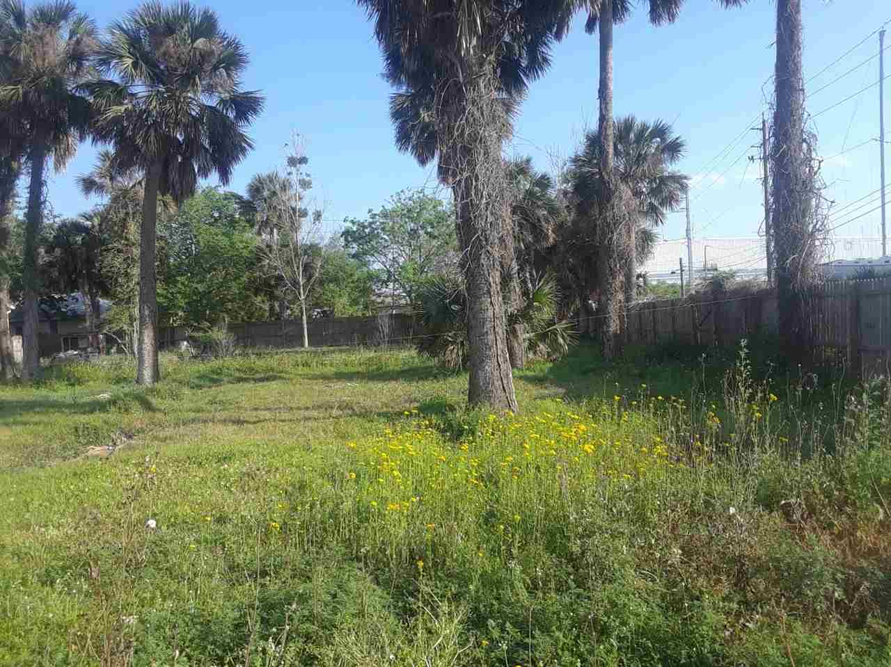 Property Photo:  Riberia Street  FL 32084 