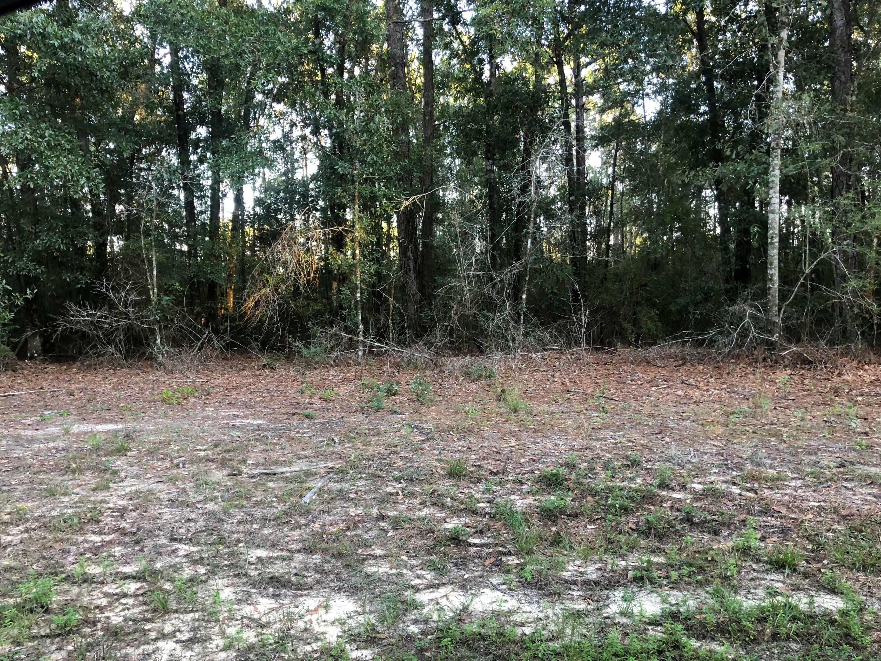 Property Photo:  0 Wolf Ridge Road  MS 39562 