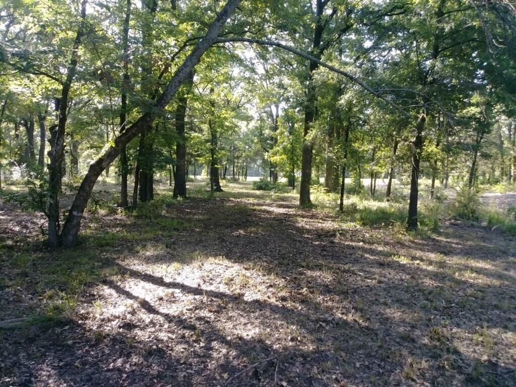 Property Photo: Lot 6 Big Water Way TX 75474