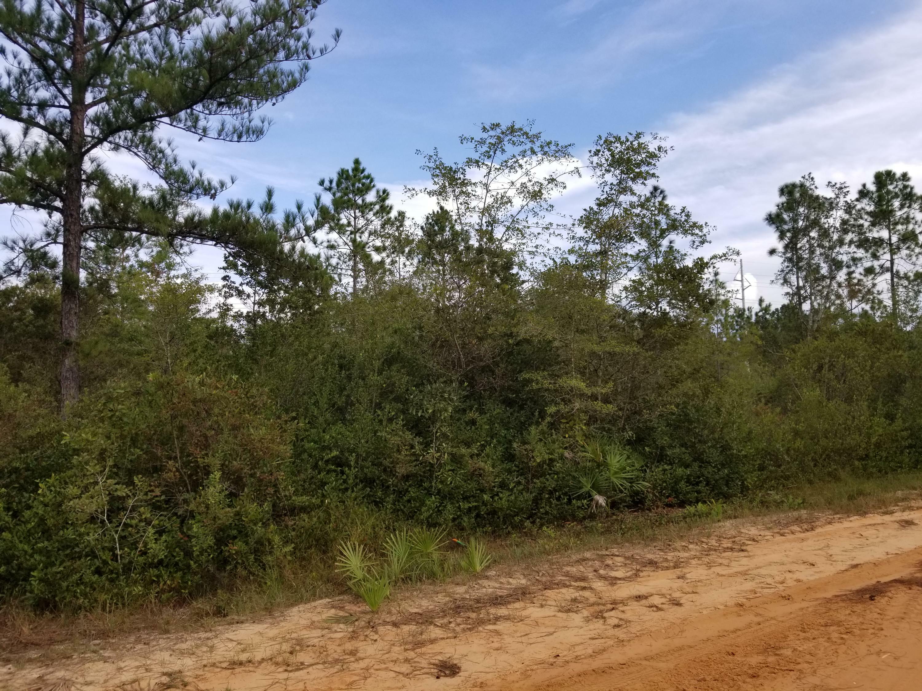 Property Photo:  000 Dickerson Road  FL 32438 