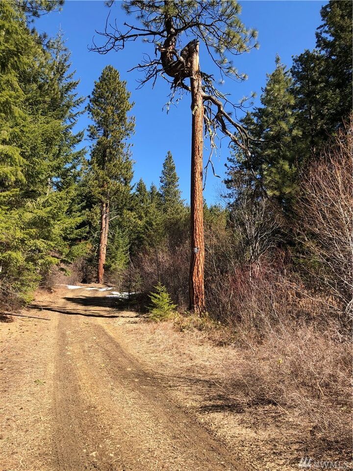 Property Photo: Lot 3 Big Tail Road WA 98922