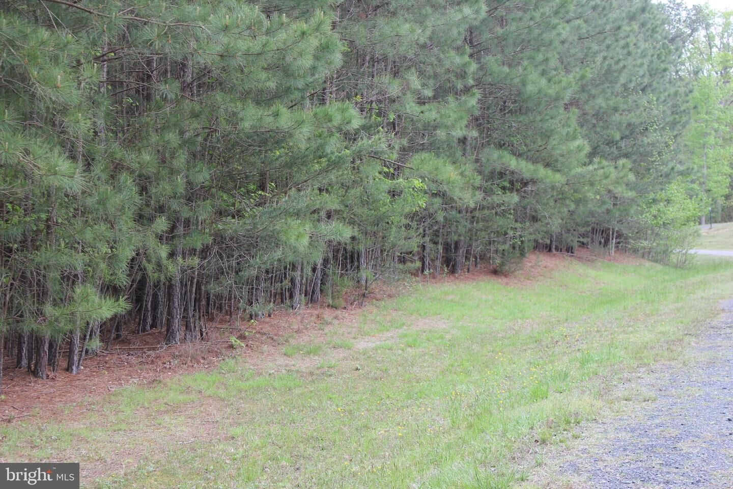 Property Photo:  19400 Brandon Way  MD 20634 