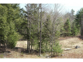 Property Photo:  36 Astor Lane Lot 133ax  NH 03304 