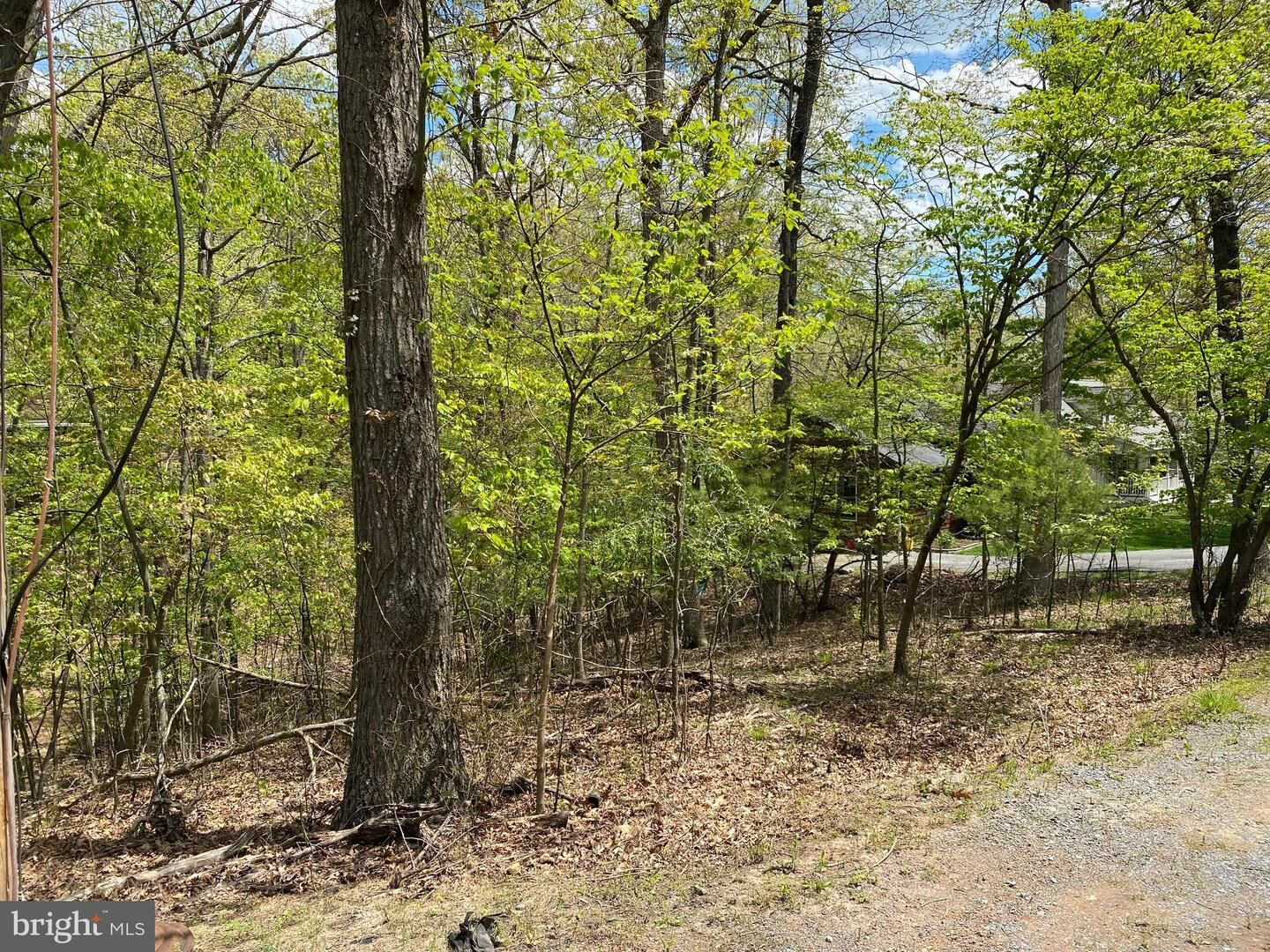 Property Photo:  205 Northwood  VA 22625 