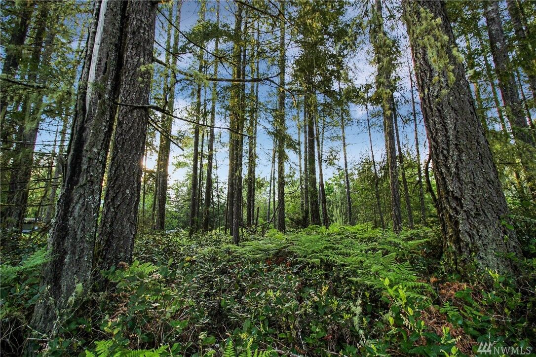 Property Photo:  51 N Bass Place  WA 98548 