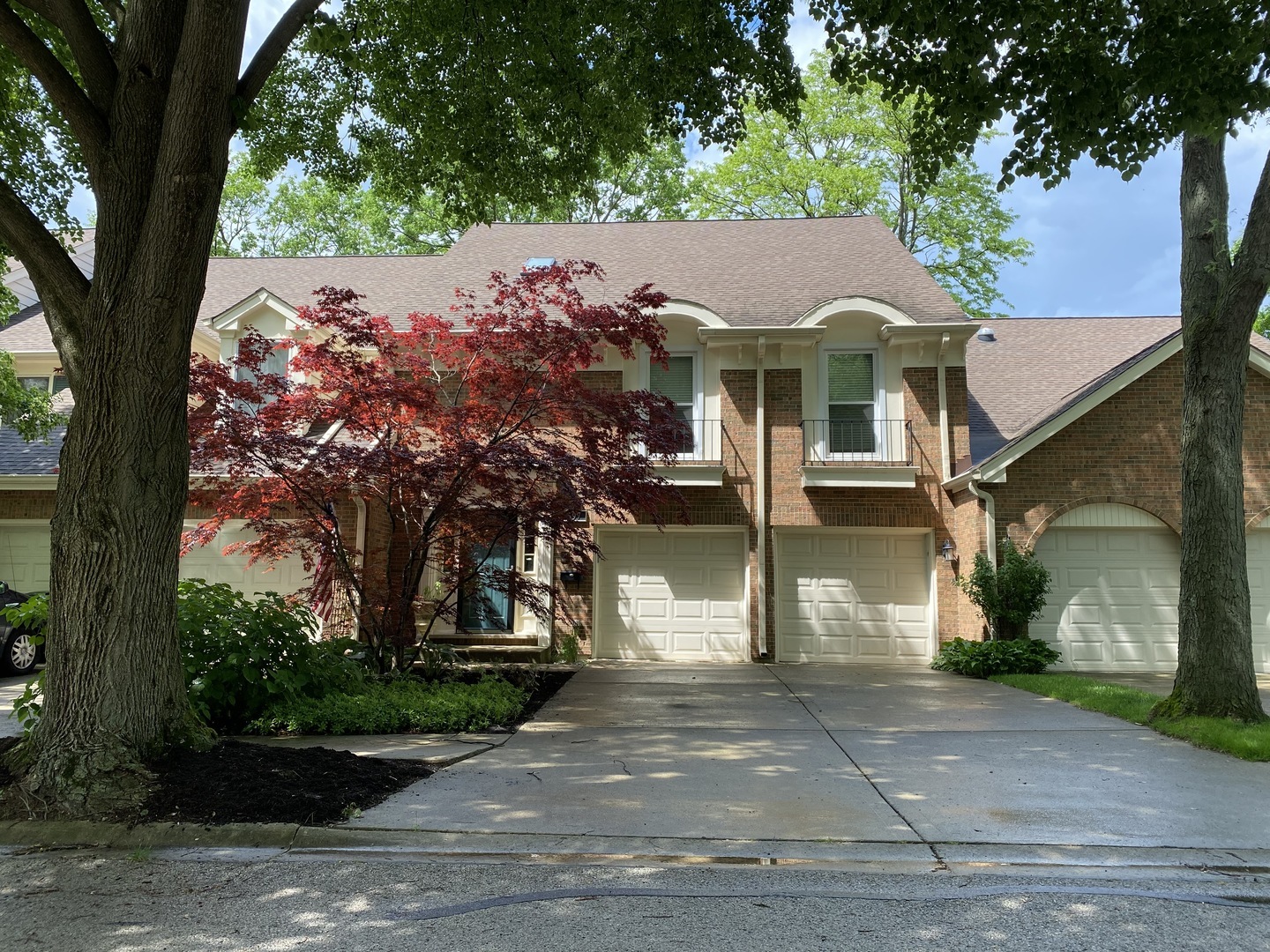 Property Photo:  597 Windham Lane  IL 60563 