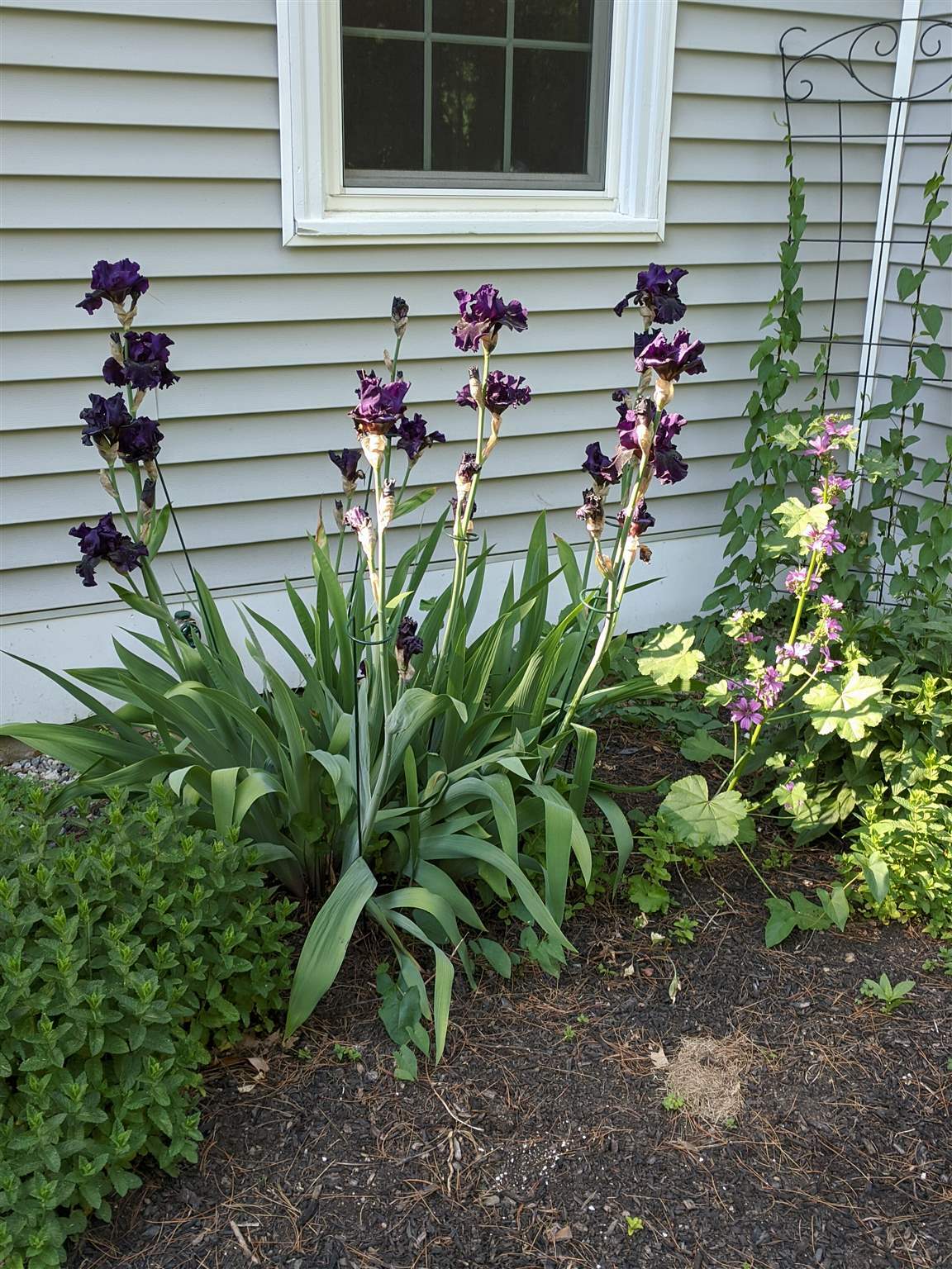 Property Photo: 11 Boulder Brook Drive 2 NH 03833