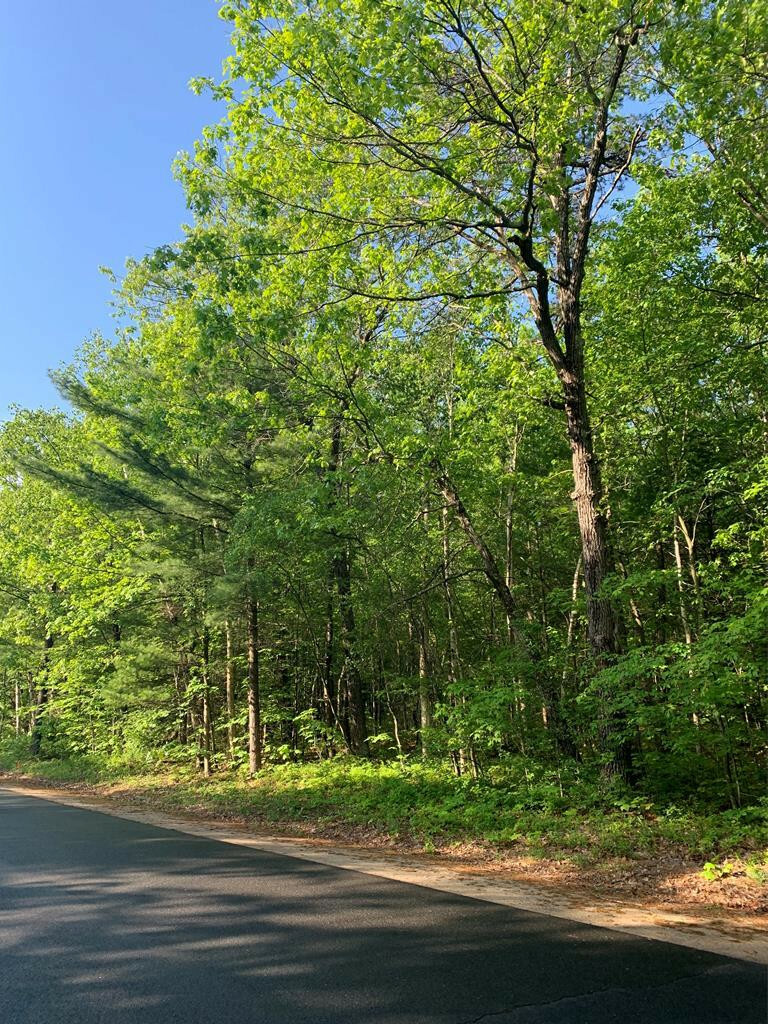 Property Photo:  0 Lakeside Road  NY  