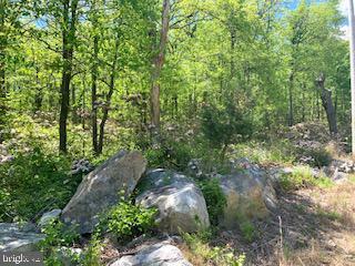 Property Photo:  0 Mountain Falls Trail  VA 22602 