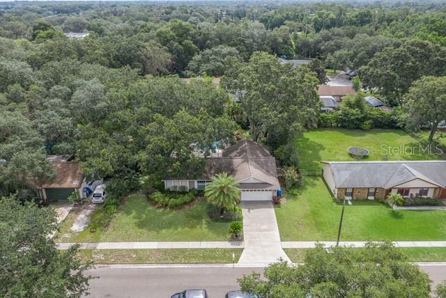 Property Photo: 3413 Little Oak Street FL 33596