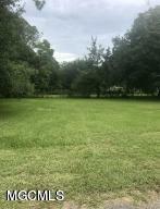 Property Photo:  0 Palmetto Avenue  MS 39581 