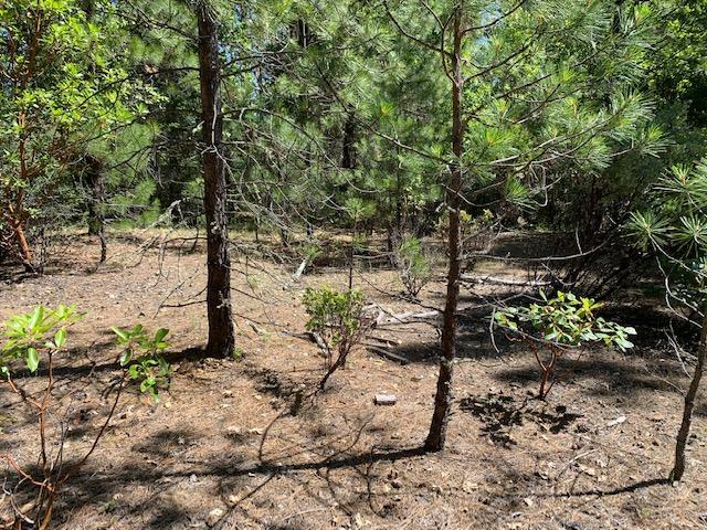 Property Photo: 0 W Griffin Creek Road OR 97501