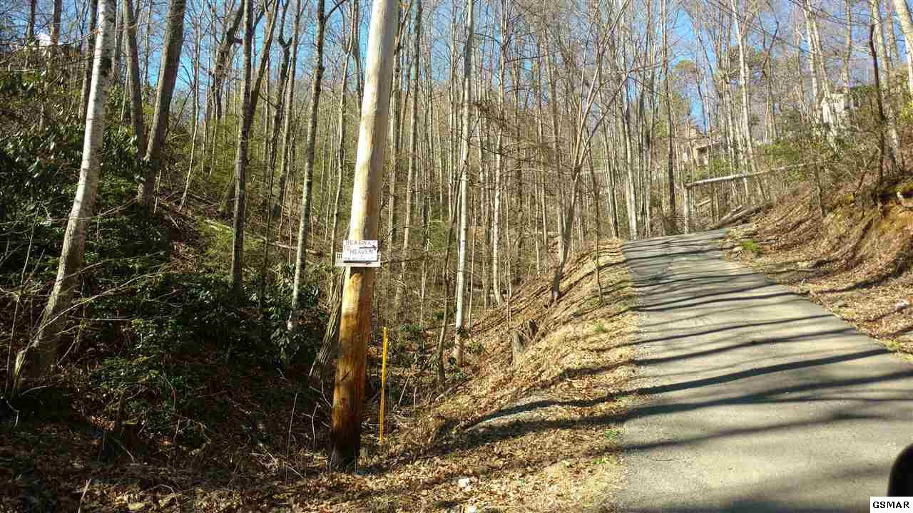 Property Photo:  Lot 9 Big Oak  TN  
